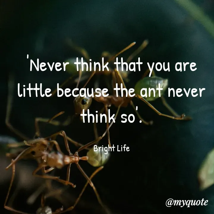 Quote by Bright Isaiah - 'Never think that you are little because the ant never think so'.

Bright Life - Made using Quotes Creator App, Post Maker App