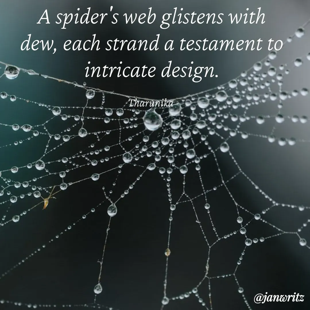 Quote by Tharunika N - A spider's web glistens with dew, each strand a testament to intricate design.

Tharunika  - Made using Quotes Creator App, Post Maker App