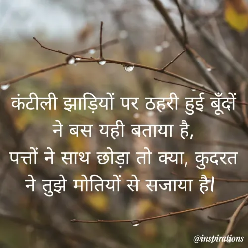 Quote by Vikram Singh - कंटीली झाड़ियों पर ठहरी हुई बूंदों
ने बस यही बताया है,
पत्तों ने साथ छोड़ा तो क्या, कुदरत
ने तुझे मोतियों से सजाया है।
@inspirations
 - Made using Quotes Creator App, Post Maker App