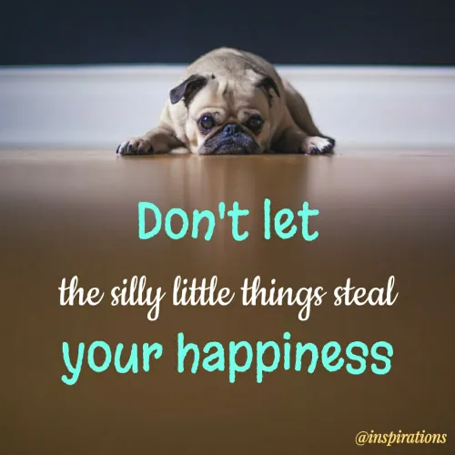 Quote by Vikram Singh - Don't let
the silly little things steal
your happiness
@inspirations
 - Made using Quotes Creator App, Post Maker App