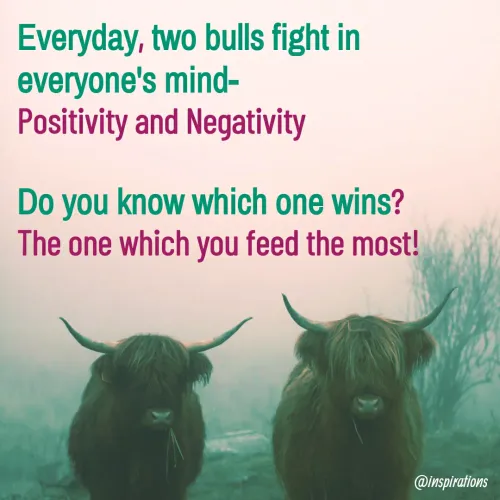 Quote by Vikram Singh - Everyday, two bulls fight in
everyone's mind-
Positivity and Negativity
Do you know which one wins?
The one which you feed the most!
@inspirations
 - Made using Quotes Creator App, Post Maker App