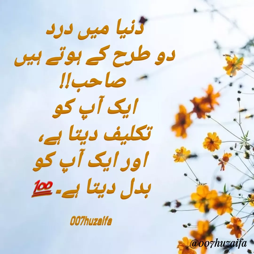 Quote by Huzaifa Sayyed - دنیا میں درد 
دو طرح کے ہوتے ہیں 
صاحب!!
ایک آپ کو 
تکلیف دیتا ہے، 
 اور ایک آپ کو
 بدل دیتا ہے۔💯

007huzaifa  - Made using Quotes Creator App, Post Maker App