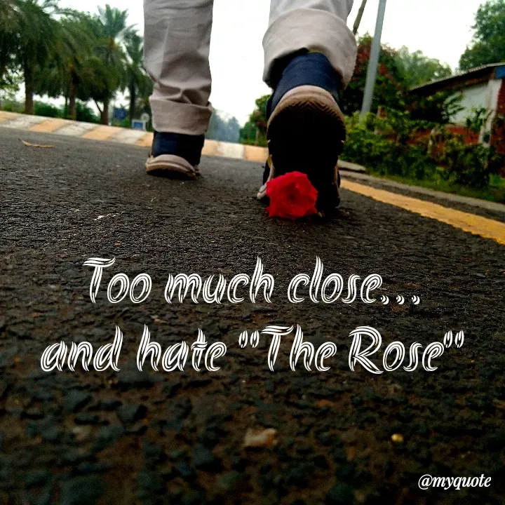 Quote by Dark $hine - Too much close...
and hate "The Rose" - Made using Quotes Creator App, Post Maker App