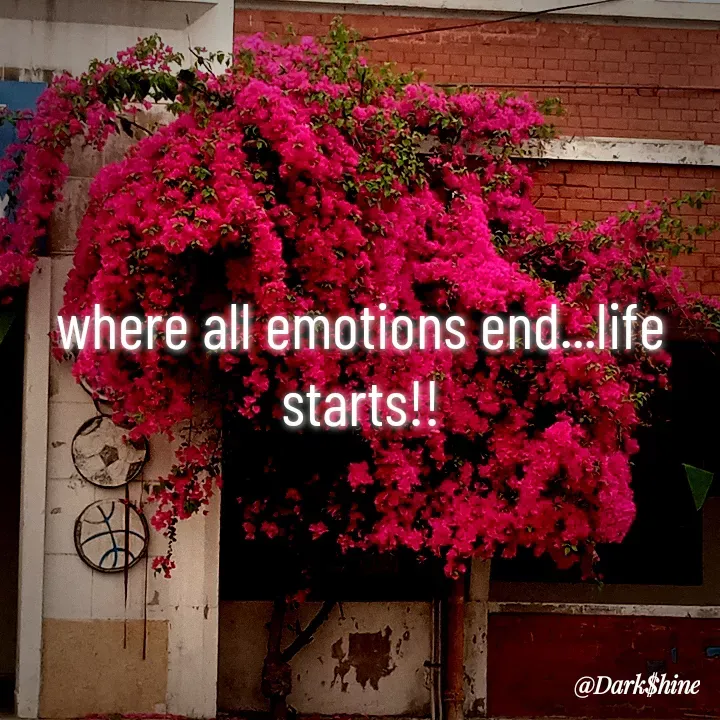 Quote by Dark $hine - where all emotions end...life starts!! - Made using Quotes Creator App, Post Maker App