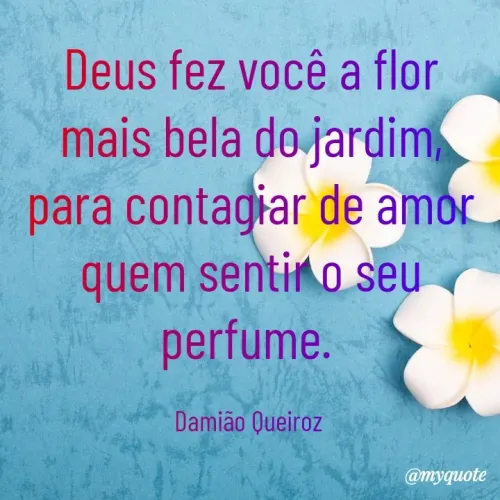 Quote by Damião Queiroz -  - Made using Quotes Creator App, Post Maker App