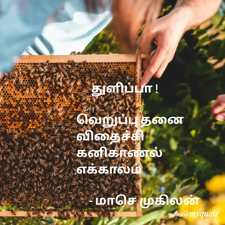 Quote by மாசெ முகிலன் -       துளிப்பா !

வெறுப்பு தனை
விதைச்சி
கனிகாணல்
எக்காலம்

     - மாசெ முகிலன் - Made using Quotes Creator App, Post Maker App