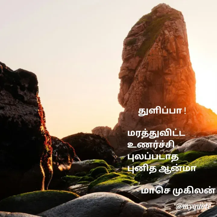 Quote by மாசெ முகிலன் -       துளிப்பா !

மரத்துவிட்ட
உணர்ச்சி
புலப்படாத
புனித ஆன்மா

     - மாசெ முகிலன் - Made using Quotes Creator App, Post Maker App