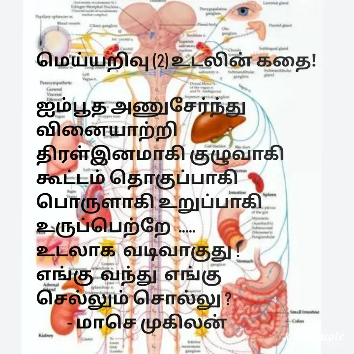 Quote by மாசெ முகிலன் - மெய்யறிவு (2) உடலின் கதை!

ஐம்பூத அணுசேர்ந்து வினையாற்றி
திரள்இனமாகி குழுவாகி
கூட்டம் தொகுப்பாகி
பொருளாகி உறுப்பாகி உருப்பெற்றே  .....
உடலாக  வடிவாகுது !
எங்கு  வந்து  எங்கு 
செல்லும் சொல்லு ?
         - மாசெ முகிலன் - Made using Quotes Creator App, Post Maker App