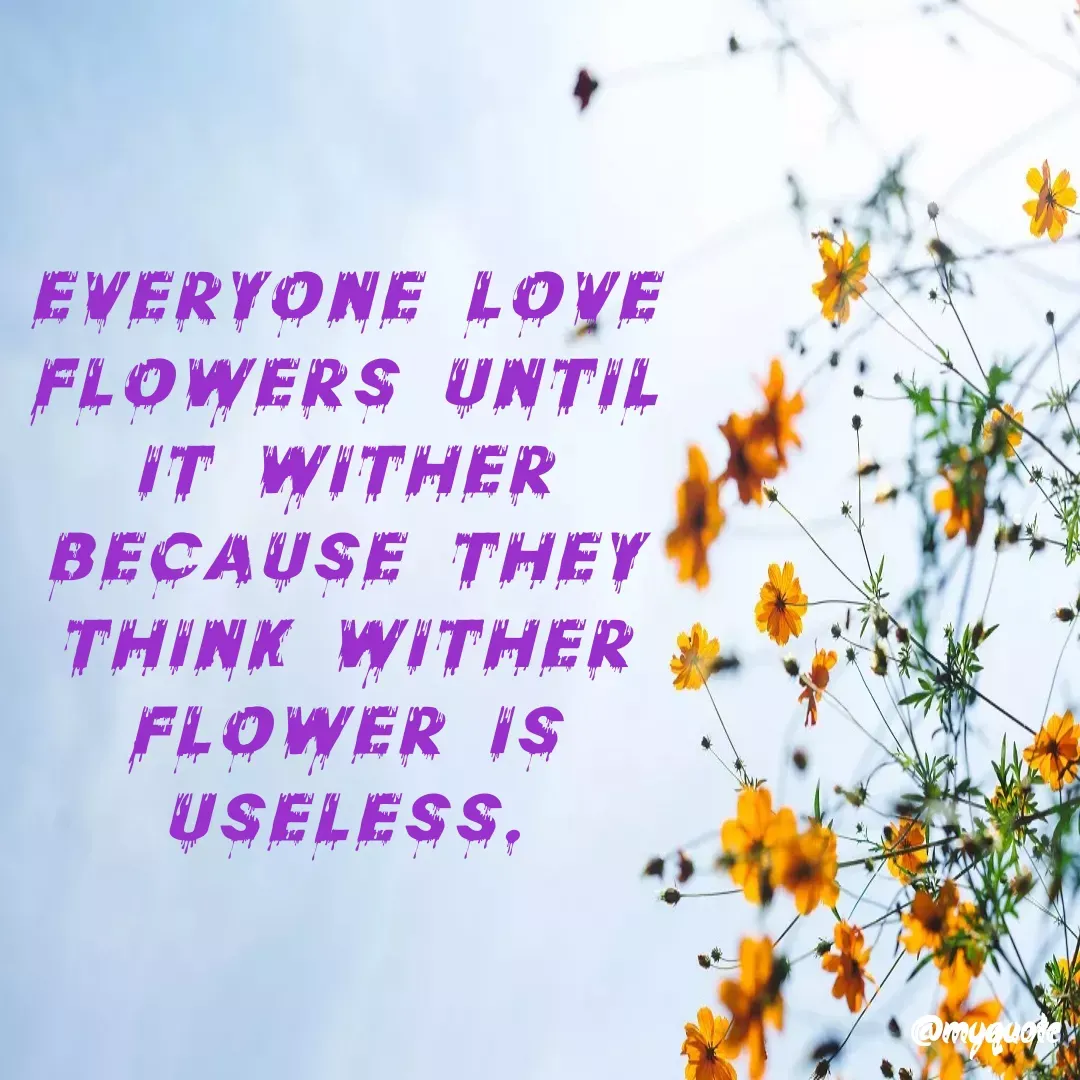 Quote by Kaur Gidda - Everyone love flowers until it wither because they think wither flower is useless. - Made using Quotes Creator App, Post Maker App