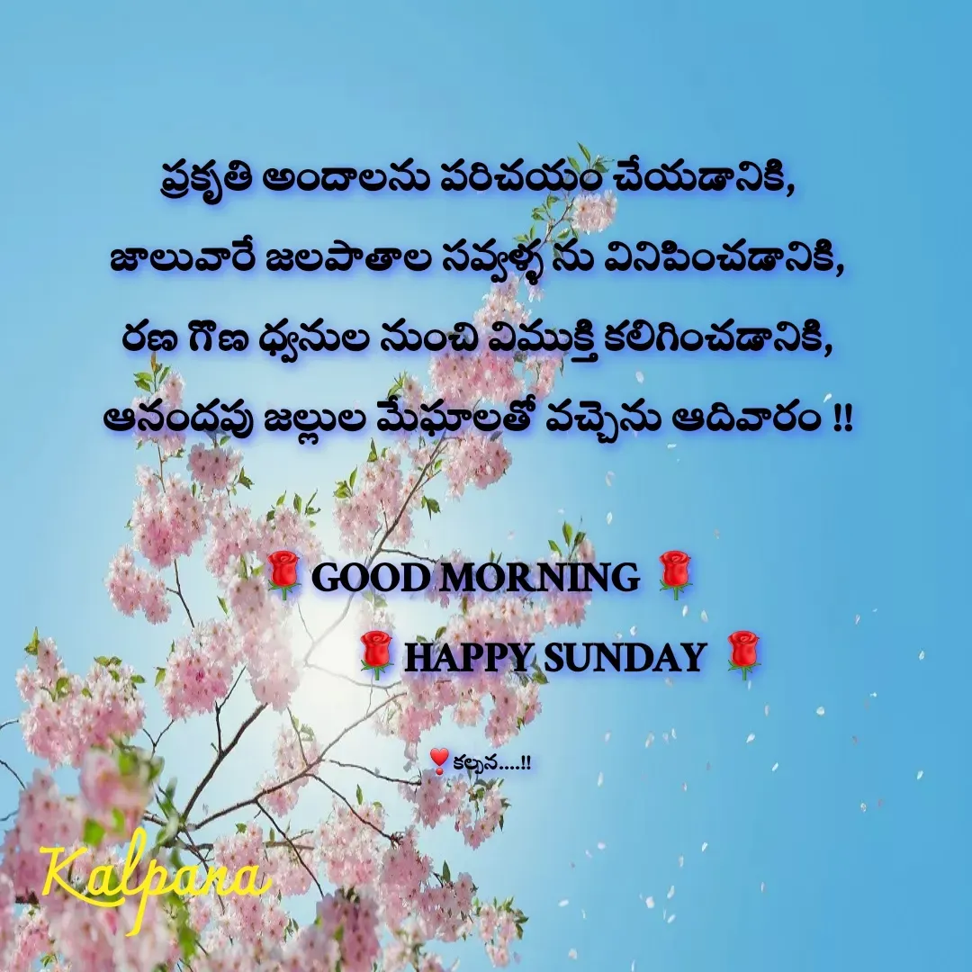 Quote by Kalpana - ప్రకృతి అందాలను పరిచయం చేయడానికి,
జాలువారే జలపాతాల సవ్వళ్ళ ను వినిపించడానికి,
రణ గొణ ధ్వనుల నుంచి విముక్తి కలిగించడానికి,
ఆనందపు జల్లుల మేఘాలతో వచ్చెను ఆదివారం !!

🌹GOOD MORNING 🌹
                  🌹HAPPY SUNDAY 🌹

❣కల్పన....!! - Made using Quotes Creator App, Post Maker App