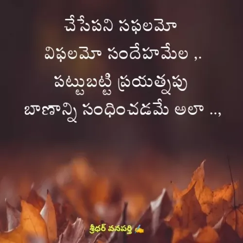 Quote by శ్రీధర్ వనపర్తి - చేసేపని సఫలమో 
విఫలమో సందేహమేల ,.
పట్టుబట్టి ప్రయత్నపు 
బాణాన్ని సంధించడమే అలా .., - Made using Quotes Creator App, Post Maker App