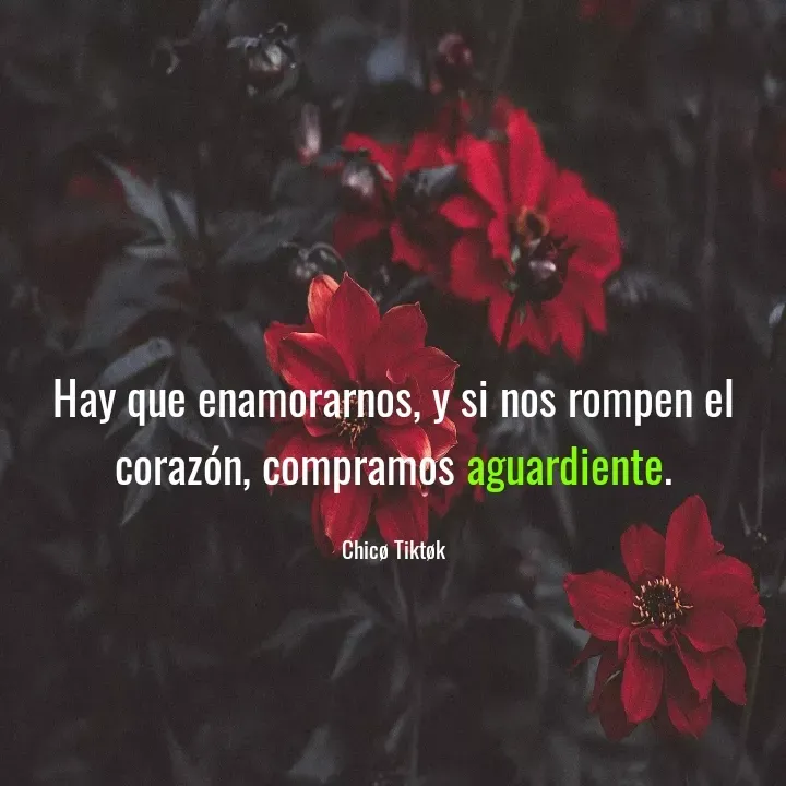 Quote by Chicø Tiktøk - Hay que enamorarnos, y si nos rompen el corazón, compramos aguardiente.

Chicø Tiktøk - Made using Quotes Creator App, Post Maker App