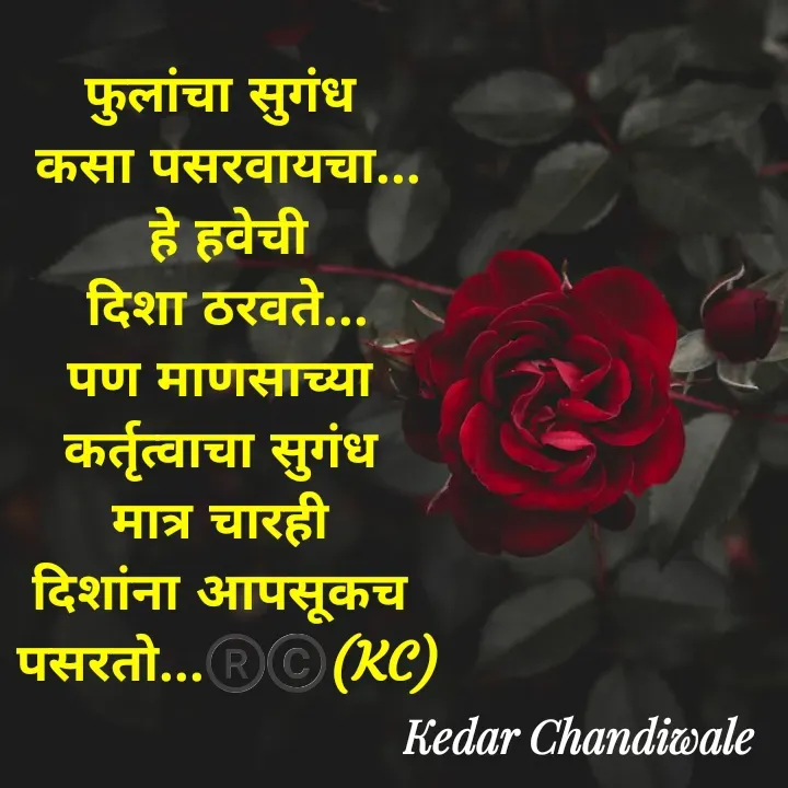 Quote by Kedar Chandiwaale - फुलांचा सुगंध 
कसा पसरवायचा...
हे हवेची
दिशा ठरवते...
पण माणसाच्या 
कर्तृत्वाचा सुगंध 
मात्र चारही 
दिशांना आपसूकच 
पसरतो...®️©️(KC) - Made using Quotes Creator App, Post Maker App