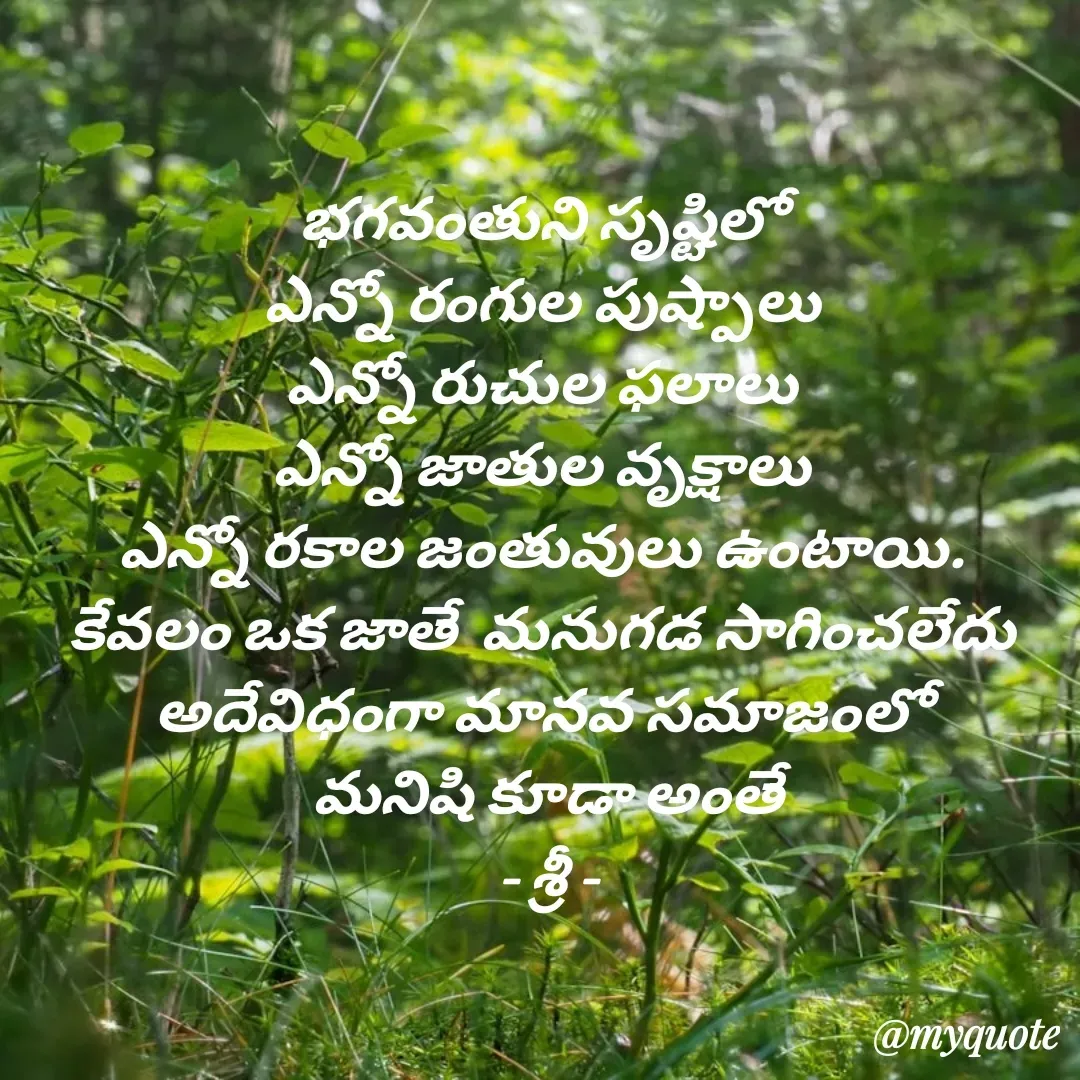 Quote by srinivas yatala - భగవంతుని సృష్టిలో 
ఎన్నో రంగుల పుష్పాలు 
ఎన్నో రుచుల ఫలాలు 
ఎన్నో జాతుల వృక్షాలు 
ఎన్నో రకాల జంతువులు ఉంటాయి. 
కేవలం ఒక జాతే  మనుగడ సాగించలేదు 
అదేవిధంగా మానవ సమాజంలో 
మనిషి కూడా అంతే
- శ్రీ - - Made using Quotes Creator App, Post Maker App