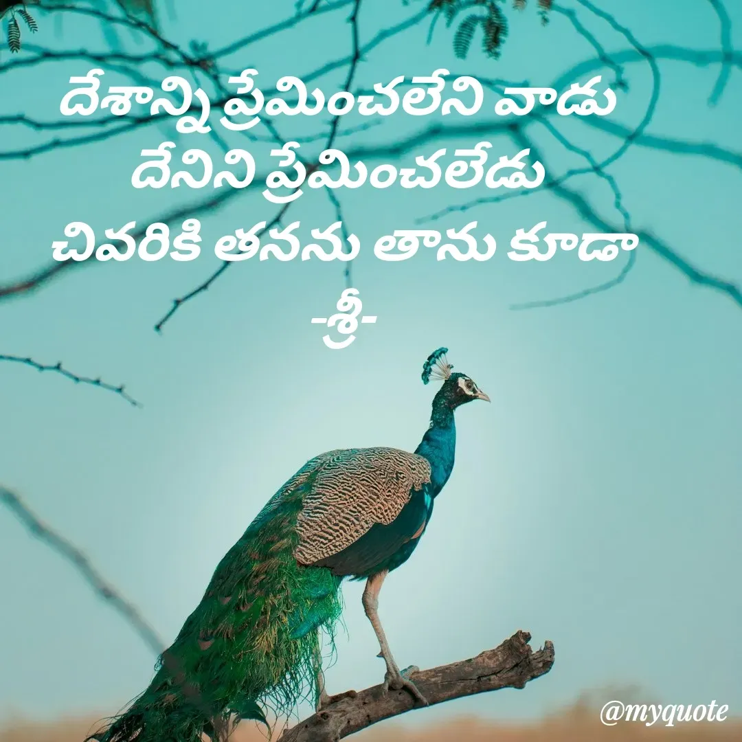 Quote by srinivas yatala - దేశాన్ని ప్రేమించలేని వాడు 
దేనిని ప్రేమించలేడు 
చివరికి తనను తాను కూడా
-శ్రీ- - Made using Quotes Creator App, Post Maker App