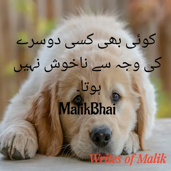 Quote by Writes Of Malik -  کوئی بھی کسی دوسرے کی وجہ سے ناخوش نہیں ہوتا۔ 
MalikBhai - Made using Quotes Creator App, Post Maker App