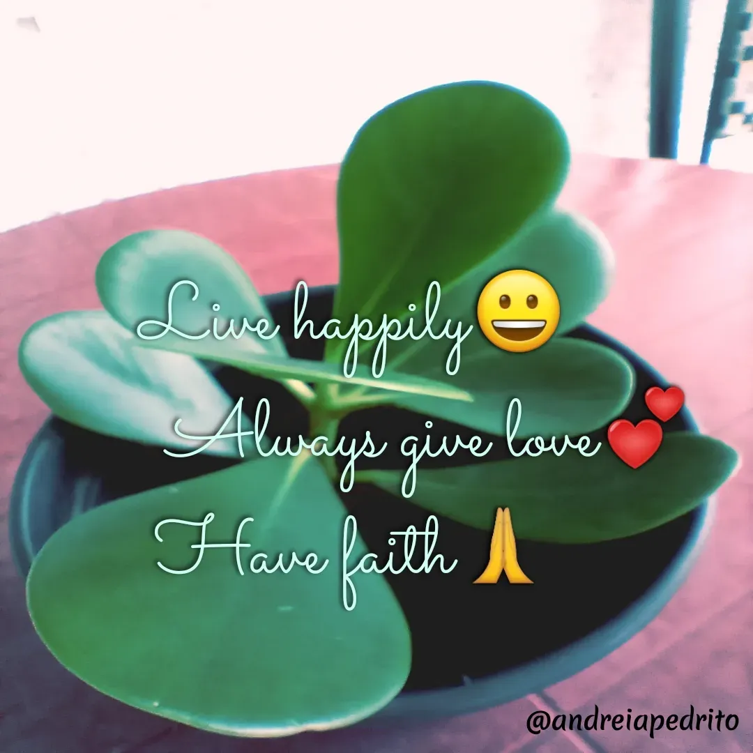 Quote by @andreiapedrito - Live happily😀
         Always give love💕
Have faith🙏 - Made using Quotes Creator App, Post Maker App