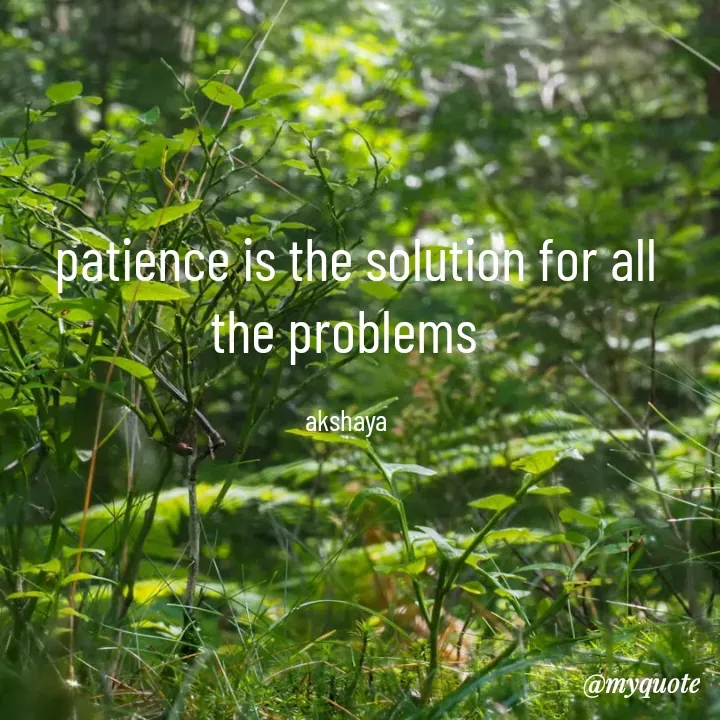 Quote by Akshaya lakshmi narayana -  patience is the solution for all the problems 

akshaya  - Made using Quotes Creator App, Post Maker App