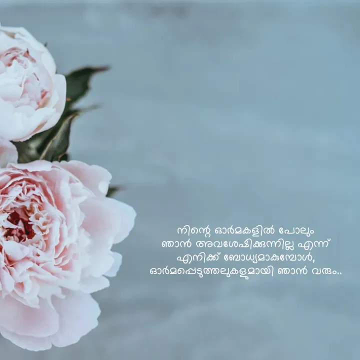 Quote by NANDANA N - നിന്റെ ഓർമകളിൽ പോലും
ഞാൻ അവശേഷിക്കുന്നില്ല എന്ന്
എനിക്ക് ബോധ്യമാകുമ്പോൾ,
ഓർമപ്പെടുത്തലുകളുമായി ഞാൻ വരും.. - Made using Quotes Creator App, Post Maker App