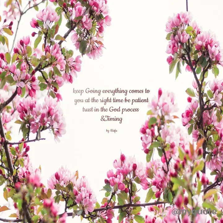 Quote by  Wafa💕 - keep Going everything comes to
you at the right time be patient
trust in the God process 
&Timing

by Wafa - Made using Quotes Creator App, Post Maker App