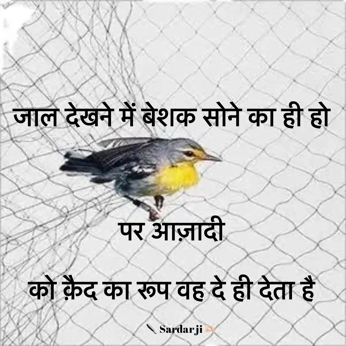 Quote by Rabb da Banda - जाल देखने में बेशक सोने का ही हो  
 
पर आज़ादी  
को क़ैद का रूप वह दे ही देता है  - Made using Quotes Creator App, Post Maker App
