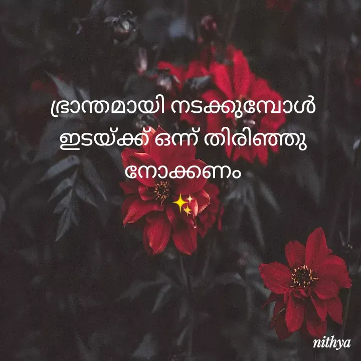 Quote by Nithya KS - ഭ്രാന്തമായി നടക്കുമ്പോൾ
ഇടയ്ക്ക് ഒന്ന് തിരിഞ്ഞു
നോക്കണം
✨️ - Made using Quotes Creator App, Post Maker App