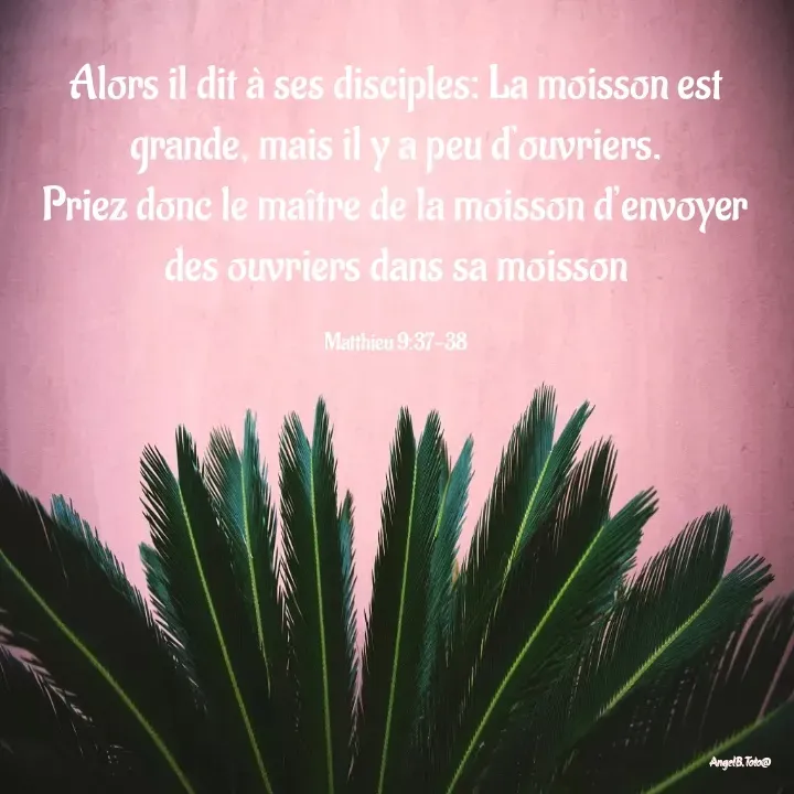 Quote by Angela.B Toto - Alors il dit à ses disciples: La moisson est grande, mais il y a peu d’ouvriers.
Priez donc le maître de la moisson d’envoyer des ouvriers dans sa moisson

Matthieu 9:37-38 - Made using Quotes Creator App, Post Maker App