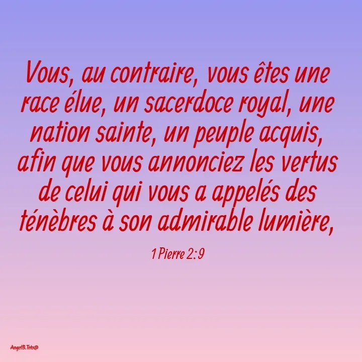 Quote by Angela.B Toto - Vous, au contraire, vous êtes une race élue, un sacerdoce royal, une nation sainte, un peuple acquis, afin que vous annonciez les vertus de celui qui vous a appelés des ténèbres à son admirable lumière,

1 Pierre 2:9 - Made using Quotes Creator App, Post Maker App