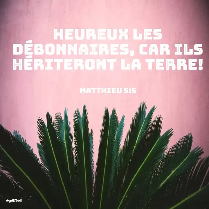 Quote by Angela.B Toto - Heureux les débonnaires, car ils hériteront la terre!


Matthieu 5:5 - Made using Quotes Creator App, Post Maker App