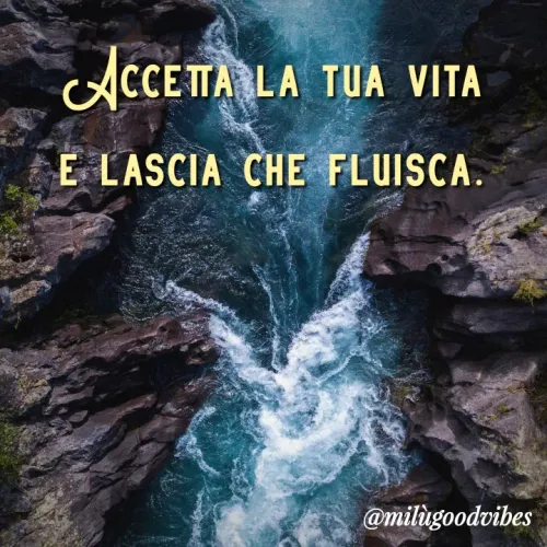 Quote by Milù Goodvibes - Accetta la tua vita
e lascia che fluisca. - Made using Quotes Creator App, Post Maker App