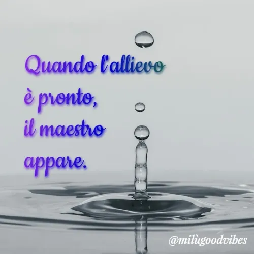 Quote by Milù Goodvibes -  - Made using Quotes Creator App, Post Maker App