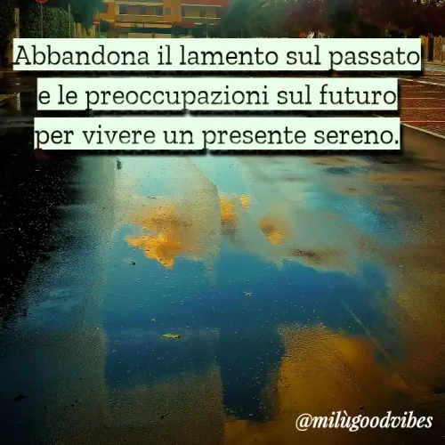 Quote by Milù Goodvibes -  - Made using Quotes Creator App, Post Maker App