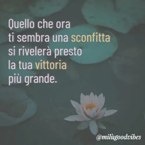 Quote by Milù Goodvibes -  - Made using Quotes Creator App, Post Maker App