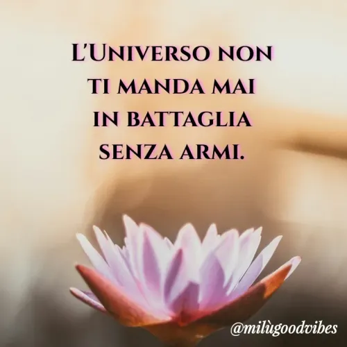 Quote by Milù Goodvibes -  - Made using Quotes Creator App, Post Maker App