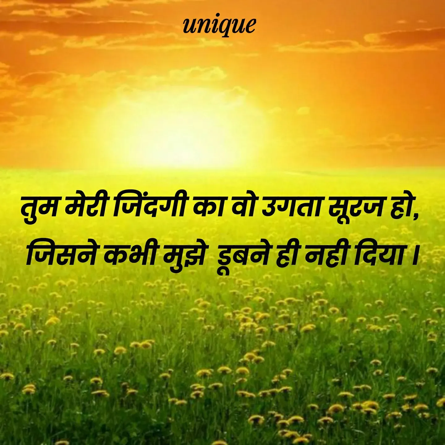 Quote by Kagaz Kalam✍️कागज़ कलम - तुम मेरी जिंदगी का वो उगता सूरज हो, 
जिसने कभी मुझे  डूबने ही नही दिया । - Made using Quotes Creator App, Post Maker App