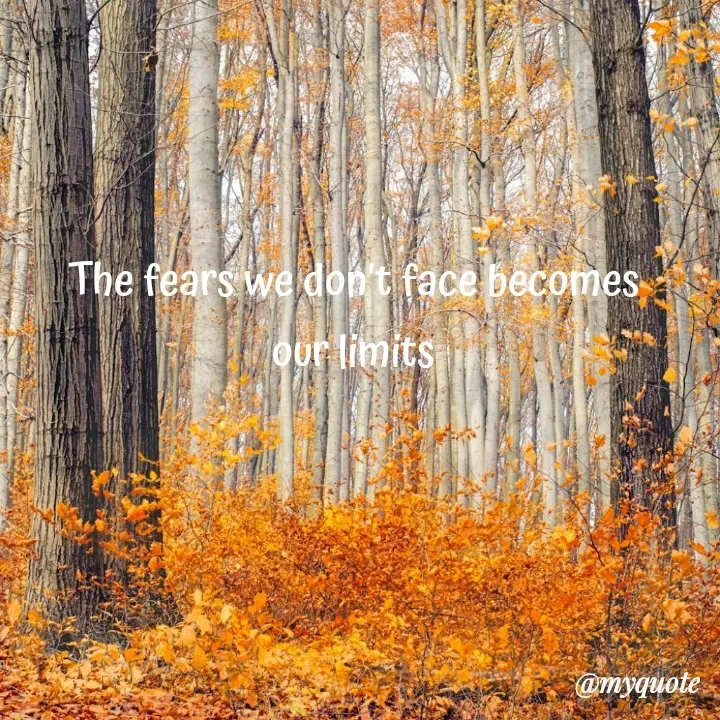 Quote by Daroosha - The fears we don't face becomes 
our limits  - Made using Quotes Creator App, Post Maker App