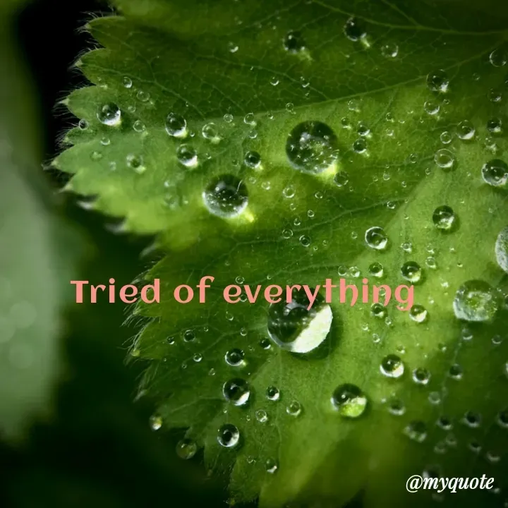Quote by Daroosha - Tried of everything  - Made using Quotes Creator App, Post Maker App