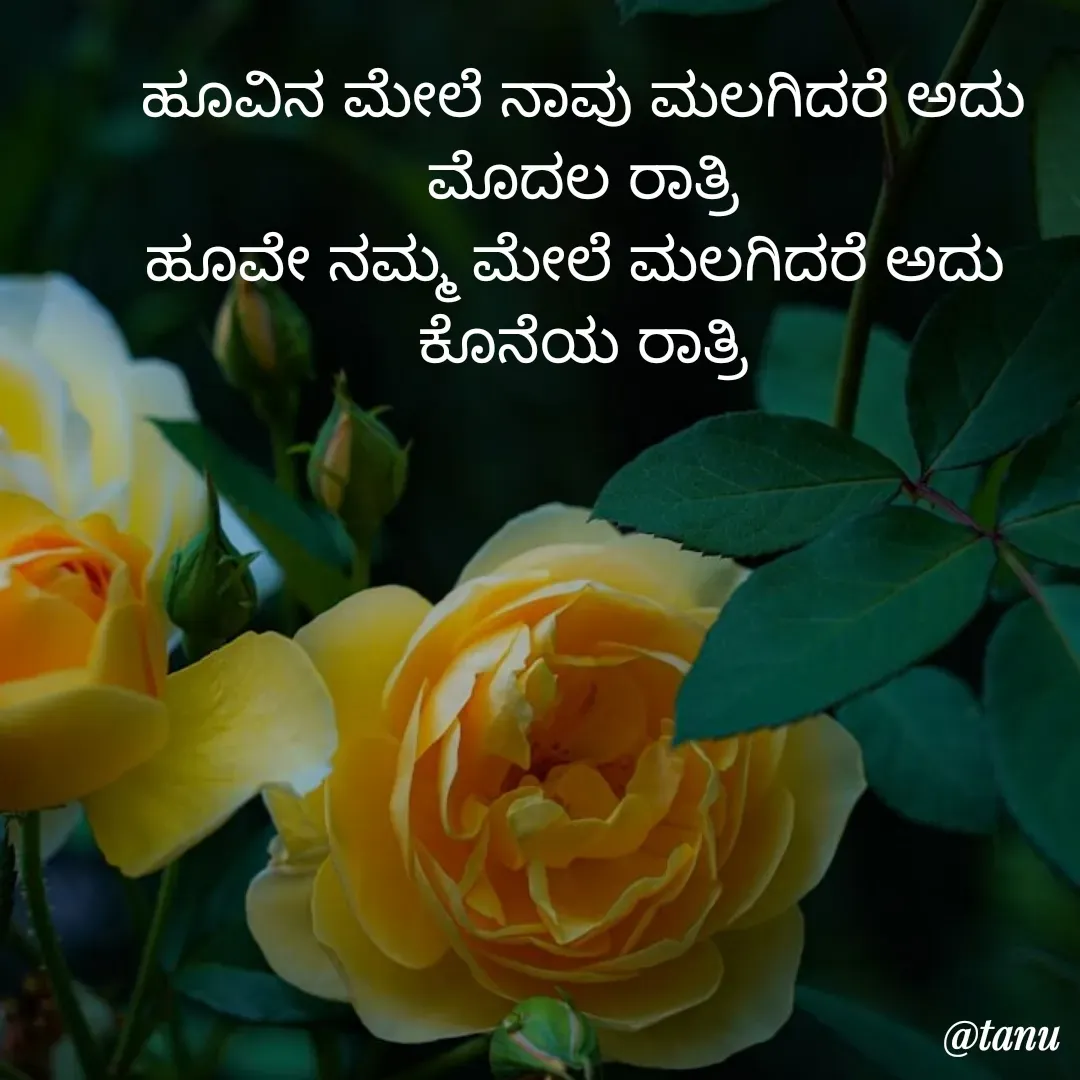 Quote by tanuja gaded - ಹೂವಿನ ಮೇಲೆ ನಾವು ಮಲಗಿದರೆ ಅದು
ಮೊದಲ ರಾತ್ರಿ
ಹೂವೇ ನಮ್ಮ ಮೇಲೆ ಮಲಗಿದರೆ ಅದು 
ಕೊನೆಯ ರಾತ್ರಿ - Made using Quotes Creator App, Post Maker App