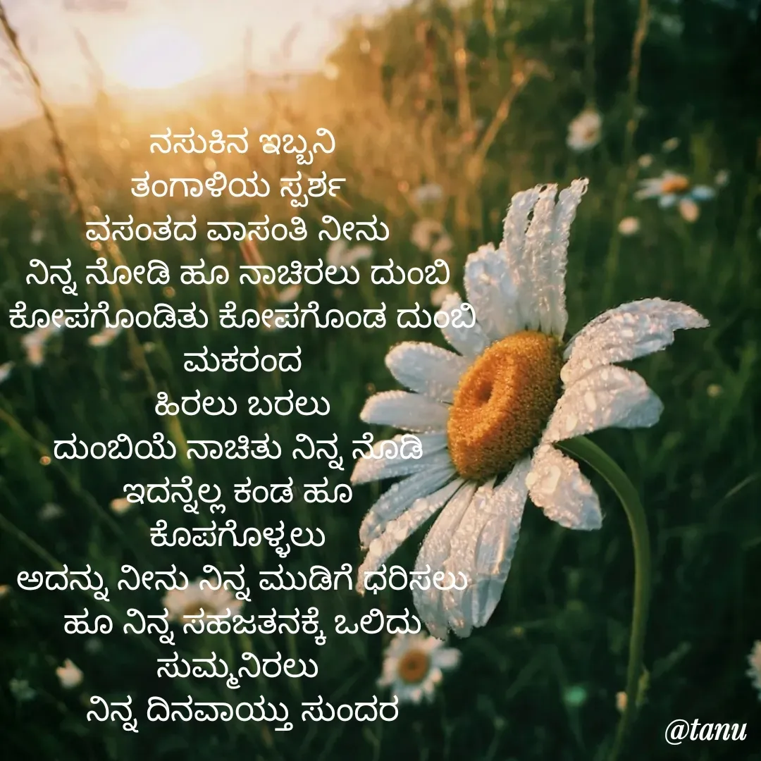 Quote by tanuja gaded - ನಸುಕಿನ ಇಬ್ಬನಿ
ತಂಗಾಳಿಯ ಸ್ಪರ್ಶ 
ವಸಂತದ ವಾಸಂತಿ ನೀನು 
ನಿನ್ನ ನೋಡಿ ಹೂ ನಾಚಿರಲು ದುಂಬಿ 
ಕೋಪಗೊಂಡಿತು ಕೋಪಗೊಂಡ ದುಂಬಿ ಮಕರಂದ
ಹಿರಲು ಬರಲು
ದುಂಬಿಯೆ ನಾಚಿತು ನಿನ್ನ ನೊಡಿ 
ಇದನ್ನೆಲ್ಲ ಕಂಡ ಹೂ 
ಕೊಪಗೊಳ್ಳಲು 
ಅದನ್ನು ನೀನು ನಿನ್ನ ಮುಡಿಗೆ ಧರಿಸಲು
ಹೂ ನಿನ್ನ ಸಹಜತನಕ್ಕೆ ಒಲಿದು ಸುಮ್ಮನಿರಲು 
ನಿನ್ನ ದಿನವಾಯ್ತು ಸುಂದರ - Made using Quotes Creator App, Post Maker App