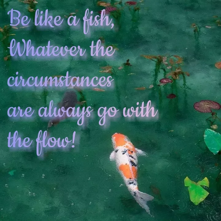 Quote by Shruti Varade - Be like á fish,
Whatever the
circumstances
are always go with
the flow!
 - Made using Quotes Creator App, Post Maker App