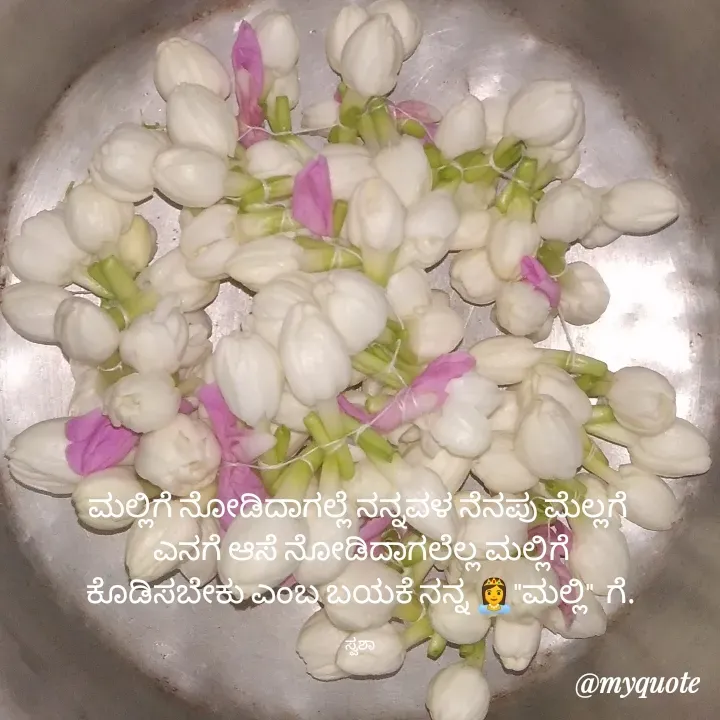 Quote by B H Dhoni Shanthu - ಮಲ್ಲಿಗೆ ನೋಡಿದಾಗಲ್ಲೆ ನನ್ನವಳ ನೆನಪು ಮೆಲ್ಲಗೆ 
ಎನಗೆ ಆಸೆ ನೋಡಿದಾಗಲೆಲ್ಲ ಮಲ್ಲಿಗೆ
 ಕೊಡಿಸಬೇಕು ಎಂಬ ಬಯಕೆ ನನ್ನ 👸"ಮಲ್ಲಿ"  ಗೆ. 

ಸ್ವಶಾ  - Made using Quotes Creator App, Post Maker App