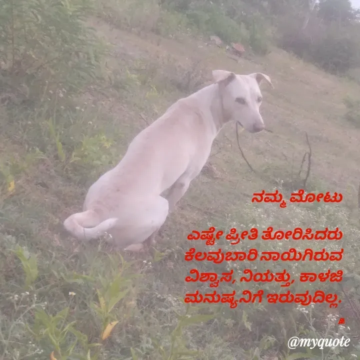 Quote by B H Dhoni Shanthu - ನಮ್ಮ ಮೋಟು 

ಎಷ್ಟೇ ಪ್ರೀತಿ ತೋರಿಸಿದರು 
ಕೆಲವುಬಾರಿ ನಾಯಿಗಿರುವ 
ವಿಶ್ವಾಸ, ನಿಯತ್ತು, ಕಾಳಜಿ 
ಮನುಷ್ಯನಿಗೆ ಇರುವುದಿಲ್ಲ. 

BH - Made using Quotes Creator App, Post Maker App