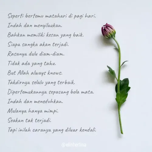 Quote by elin herlina -  - Made using Quotes Creator App, Post Maker App