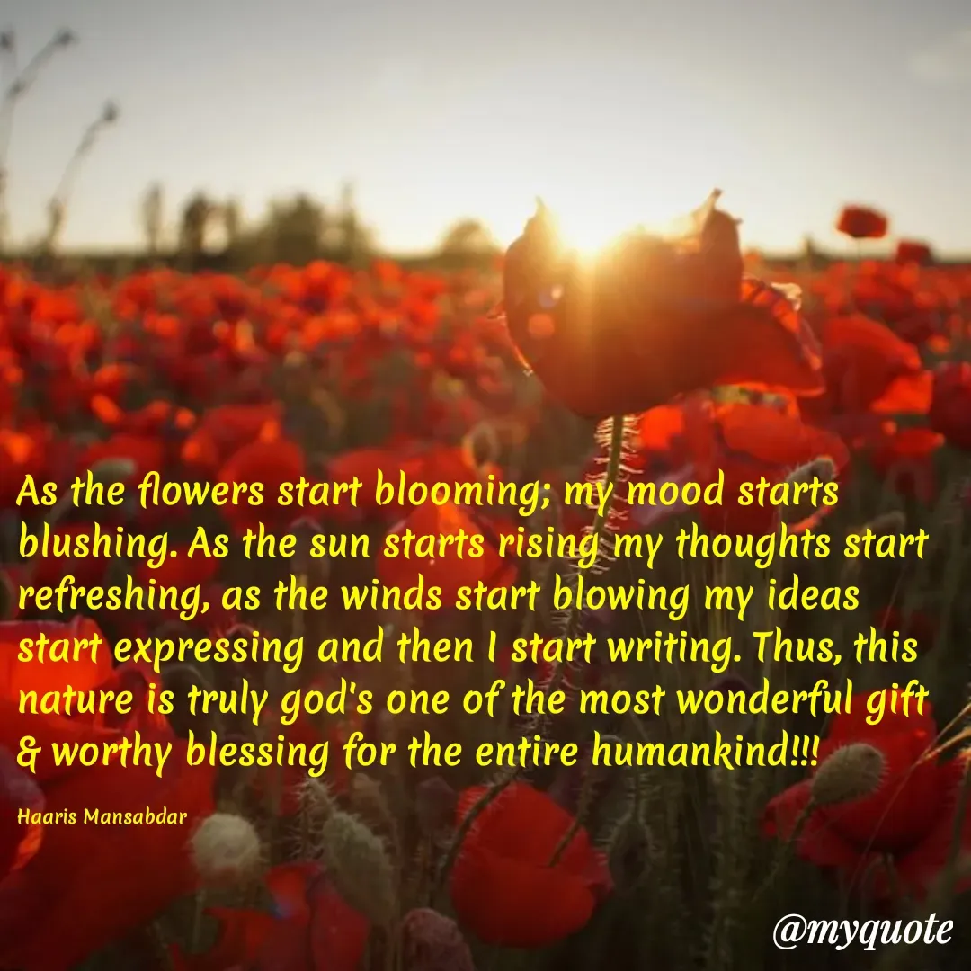 Quote by Haaris Mansabdar - As the flowers start blooming; my mood starts blushing. As the sun starts rising my thoughts start refreshing, as the winds start blowing my ideas start expressing and then I start writing. Thus, this nature is truly god's one of the most wonderful gift & worthy blessing for the entire humankind!!!

Haaris Mansabdar - Made using Quotes Creator App, Post Maker App