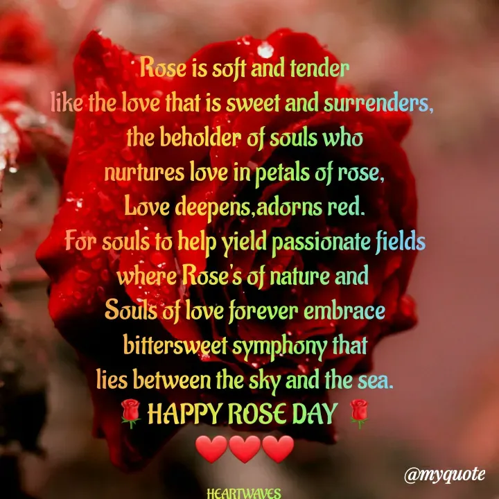 Quote by HEARTWAVES - Rose is soft and tender
like the love that is sweet and surrenders, 
the beholder of souls who
nurtures love in petals of rose,
Love deepens,adorns red.
For souls to help yield passionate fields
where Rose's of nature and 
Souls of love forever embrace
bittersweet symphony that
lies between the sky and the sea.
🌹HAPPY ROSE DAY 🌹
❤❤❤

HEARTWAVES  - Made using Quotes Creator App, Post Maker App