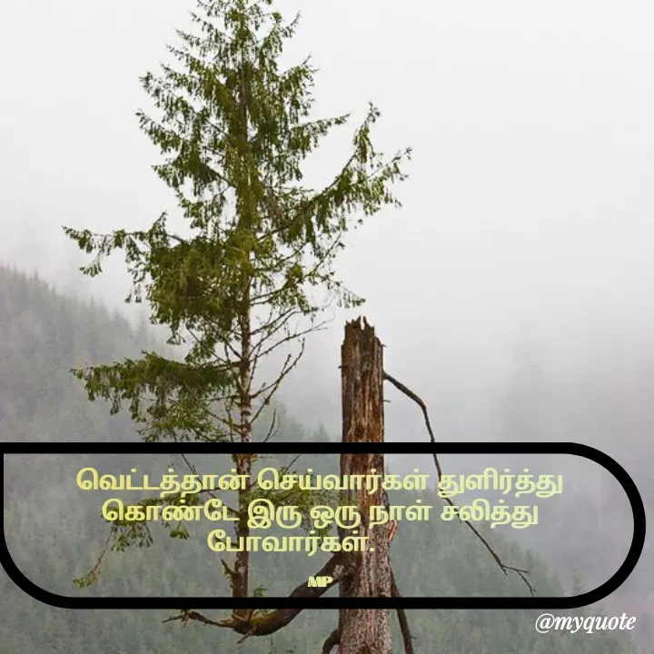 Quote by MP - வெட்டத்தான் செய்வார்கள் துளிர்த்து கொண்டே இரு ஒரு நாள் சலித்து போவார்கள்.       

MP - Made using Quotes Creator App, Post Maker App