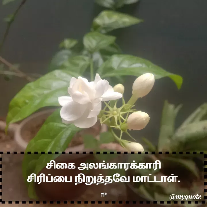 Quote by MP - சிகை அலங்காரக்காரி
சிரிப்பை நிறுத்தவே மாட்டாள்.

MP - Made using Quotes Creator App, Post Maker App