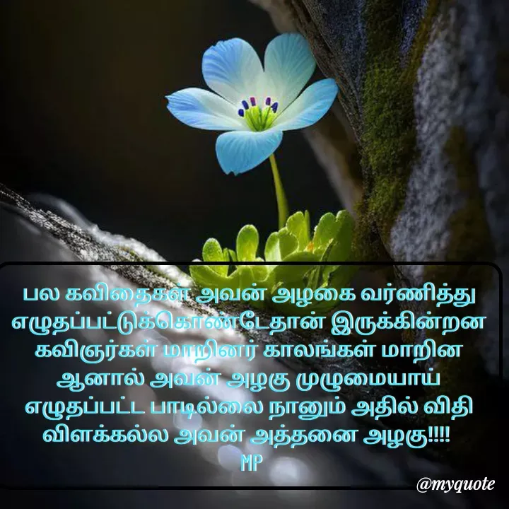 Quote by MP - பல கவிதைகள் அவன் அழகை வர்ணித்து எழுதப்பட்டுக்கொண்டேதான் இருக்கின்றன கவிஞர்கள் மாறினர் காலங்கள் மாறின ஆனால் அவன் அழகு முழுமையாய் எழுதப்பட்ட பாடில்லை நானும் அதில் விதி விளக்கல்ல அவன் அத்தனை அழகு!!!! 
 MP - Made using Quotes Creator App, Post Maker App
