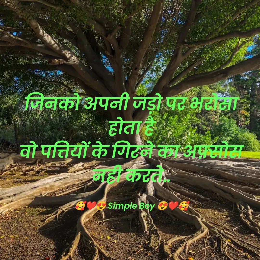 Quote by 🥰❤️😍 Simple Boy 😍❤️🥰 - जिनको अपनी जड़ो पर भरोसा होता है
वो पत्तियों के गिरने का अफ़्सोस नही करते..

🥰❤️😍 Simple Boy 😍❤️🥰 - Made using Quotes Creator App, Post Maker App