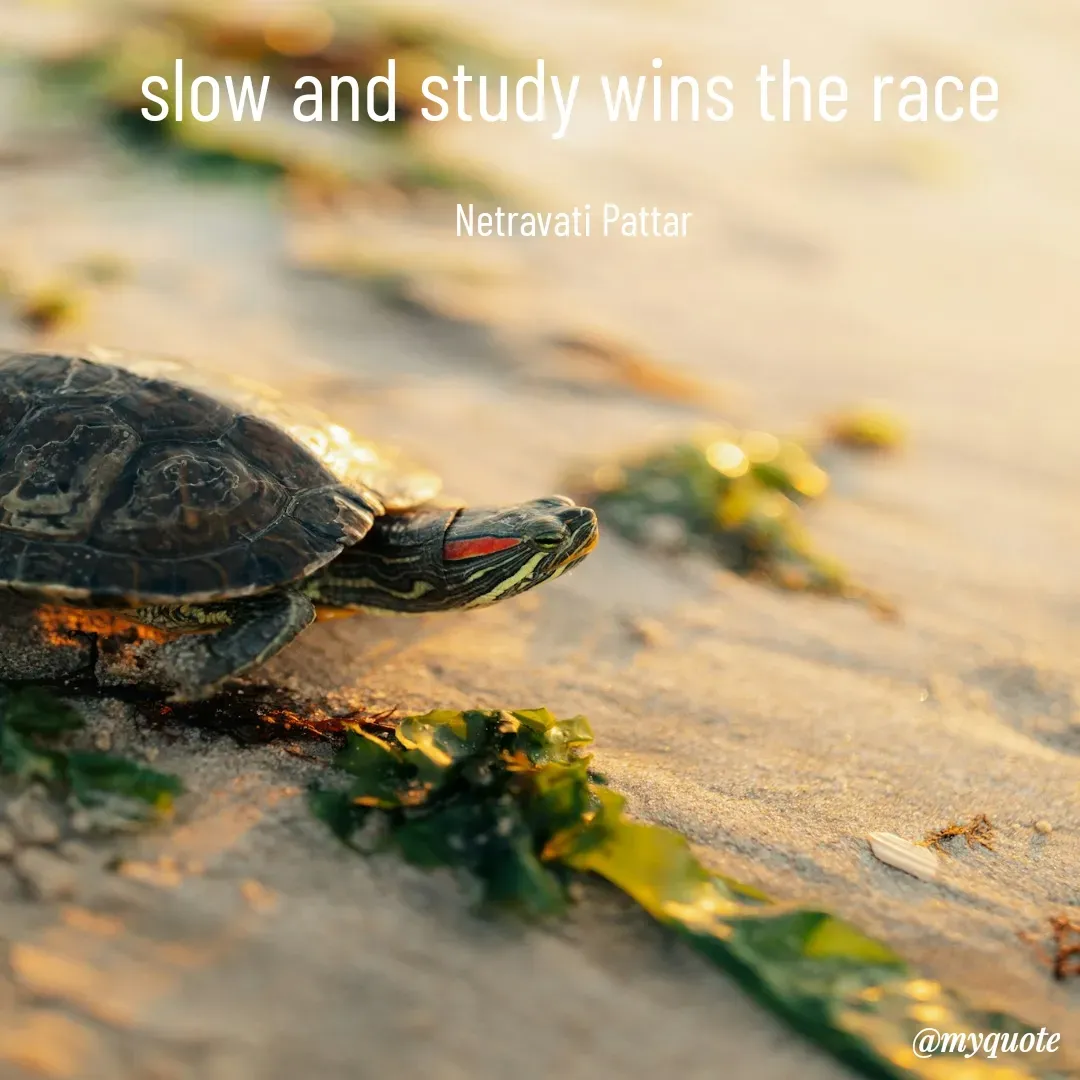 Quote by netravathi pattar - slow and study wins the race 

Netravati Pattar  - Made using Quotes Creator App, Post Maker App